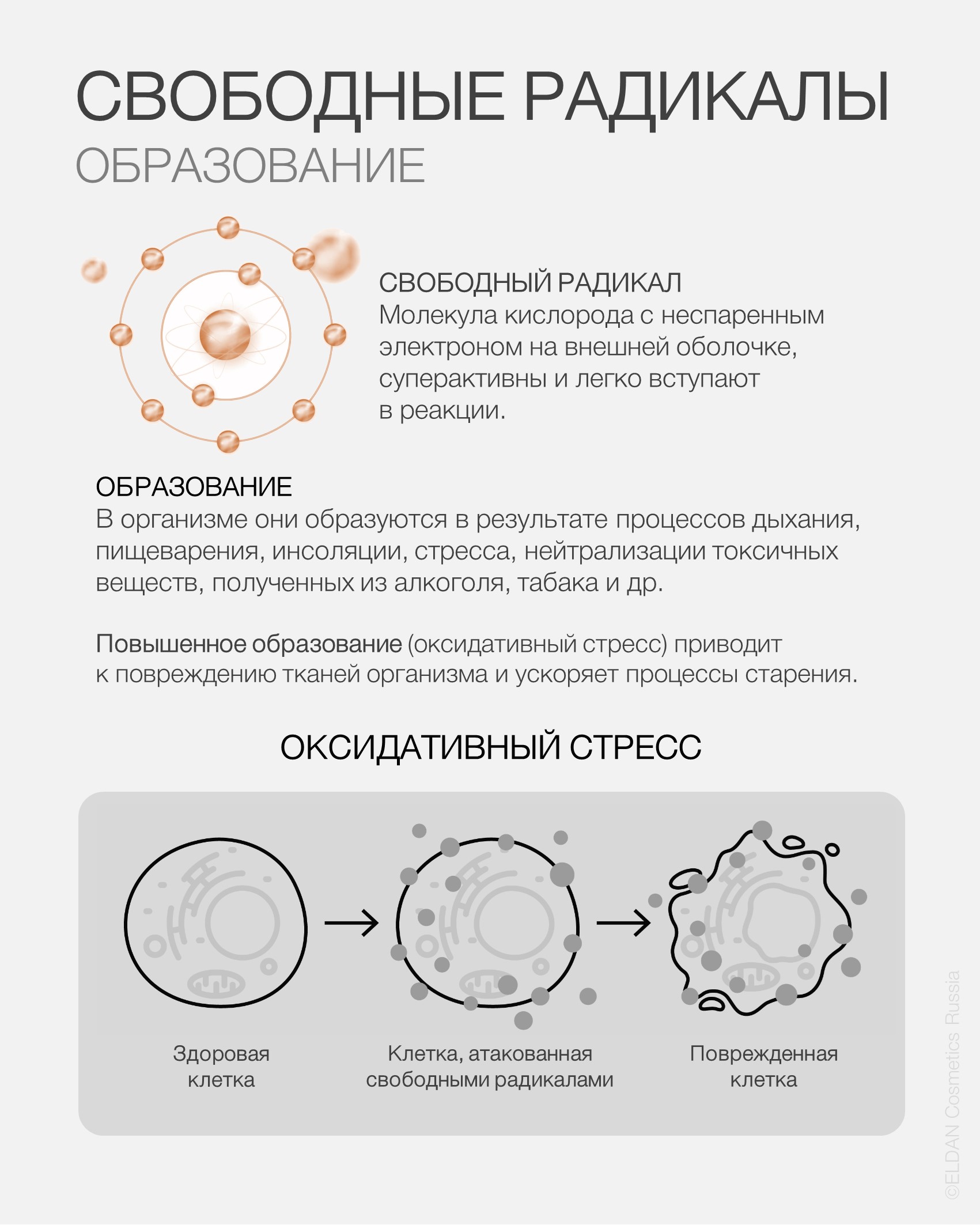 Пост свободные радикалы 2.jpg Пост свободные радикалы 2.jpg
